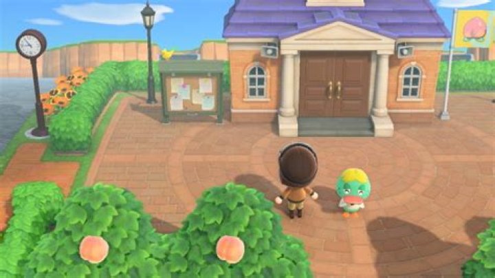 Can you catch birds in Animal Crossing: New Horizons? | Yellow bird, owl