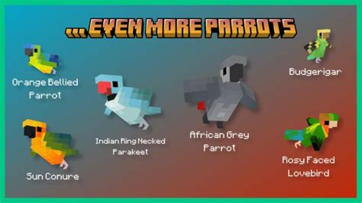 Minecraft: How to breed parrots
