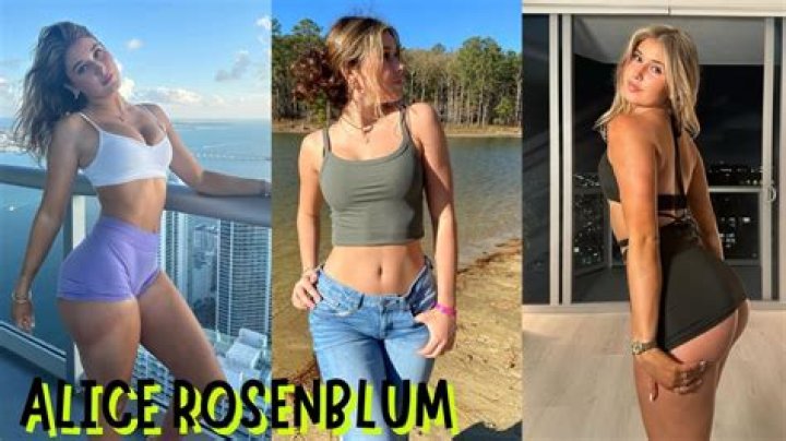 Exploring the Mystery Around Alice Rosenblum's Leaks