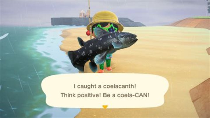 
Animal Crossing: New Horizons – How to Fish