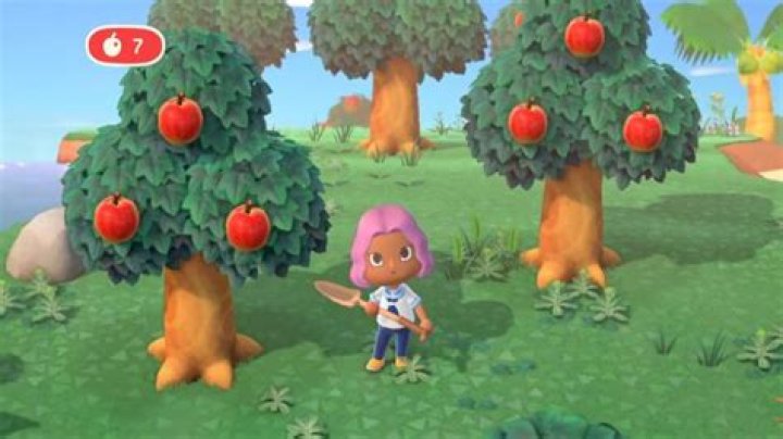 
Animal Crossing: New Horizons – How to Get or Craft a Shovel