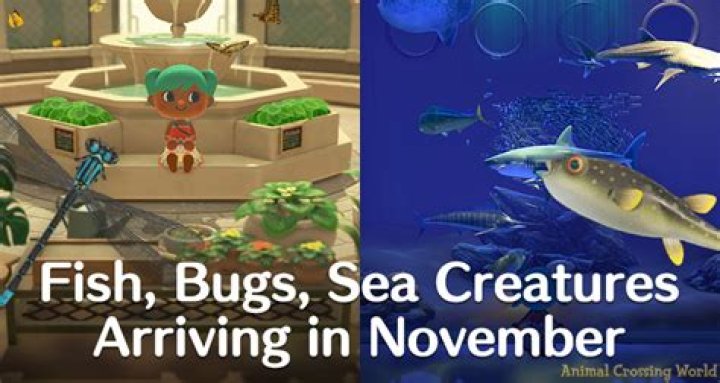 
Animal Crossing: New Fish, Bugs, and Sea Creatures for October