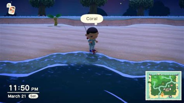 
Animal Crossing: New Horizons – Shell Prices Guide
