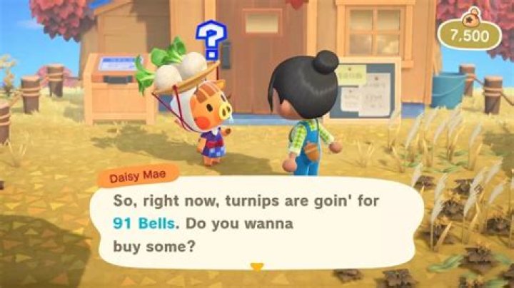 
Animal Crossing: New Horizons Turnip Prices Guide – What to Buy and Sell For