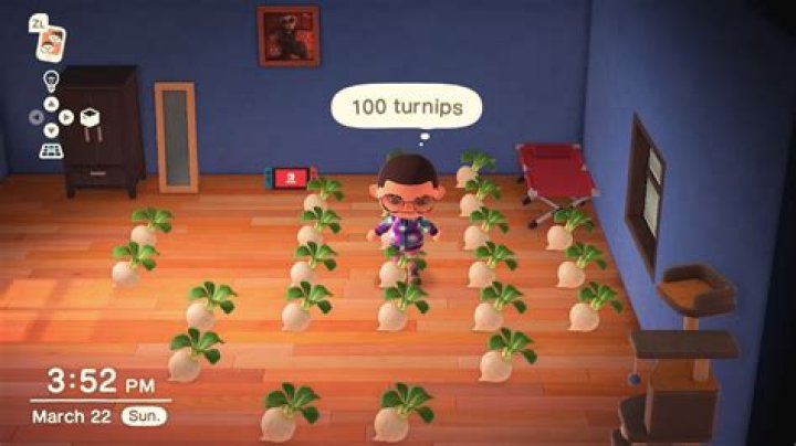 
Animal Crossing: New Horizons – Where to Put Turnips