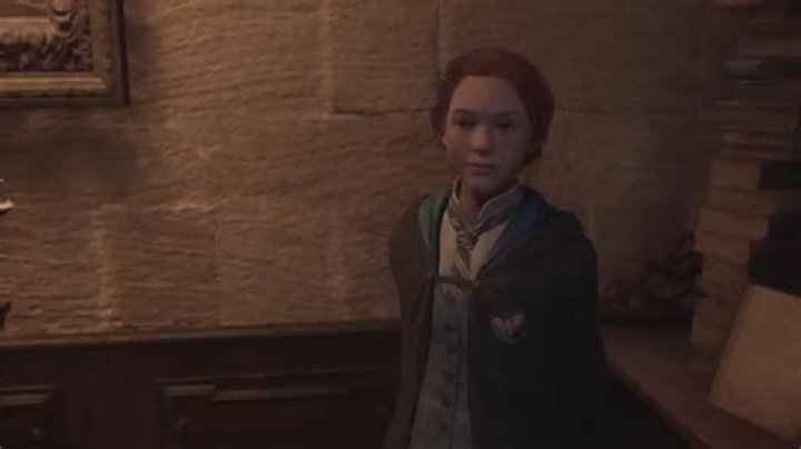 Before the Invention of the Golden Snitch, Which Magical Creature Was Used in a Game of Quidditch in Hogwarts Legacy