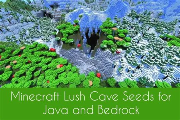 Best Minecraft Lush Cave Seeds