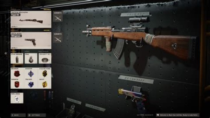 
Black Ops Cold War: Best Type 63 Loadout and Attachments