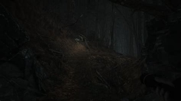 
Blair Witch: How to Use the Flashlight and Put it Away