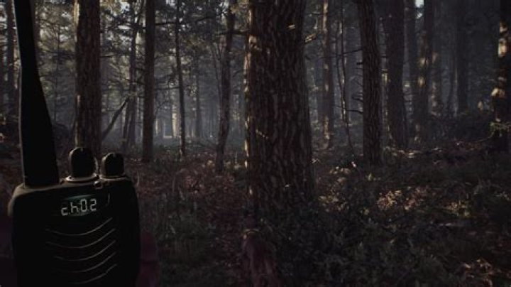 
Blair Witch: How to Use the Walkie Talkie