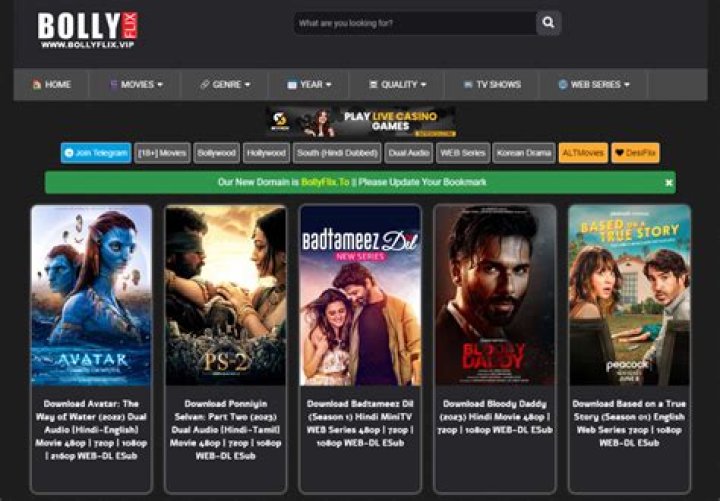 Bollyflix: Your Ultimate Gateway to the World of Indian Entertainment