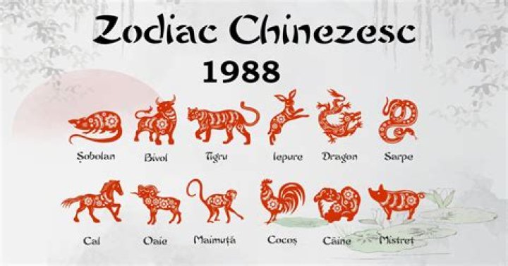 Chinese Sign for 1988: Discover the Zodiac, Traits, and Cultural Significance