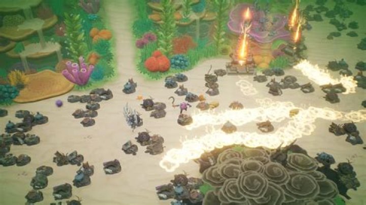 Coral Island Fossil Guide | Node Sources and Fossil Types Listed