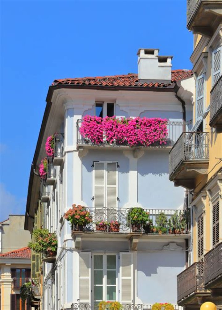 Cristina Malinis: The Rising Star in the Entertainment World