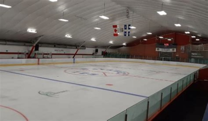 David Pelletier: The Olympic Champion's Remarkable Figure Skating Story