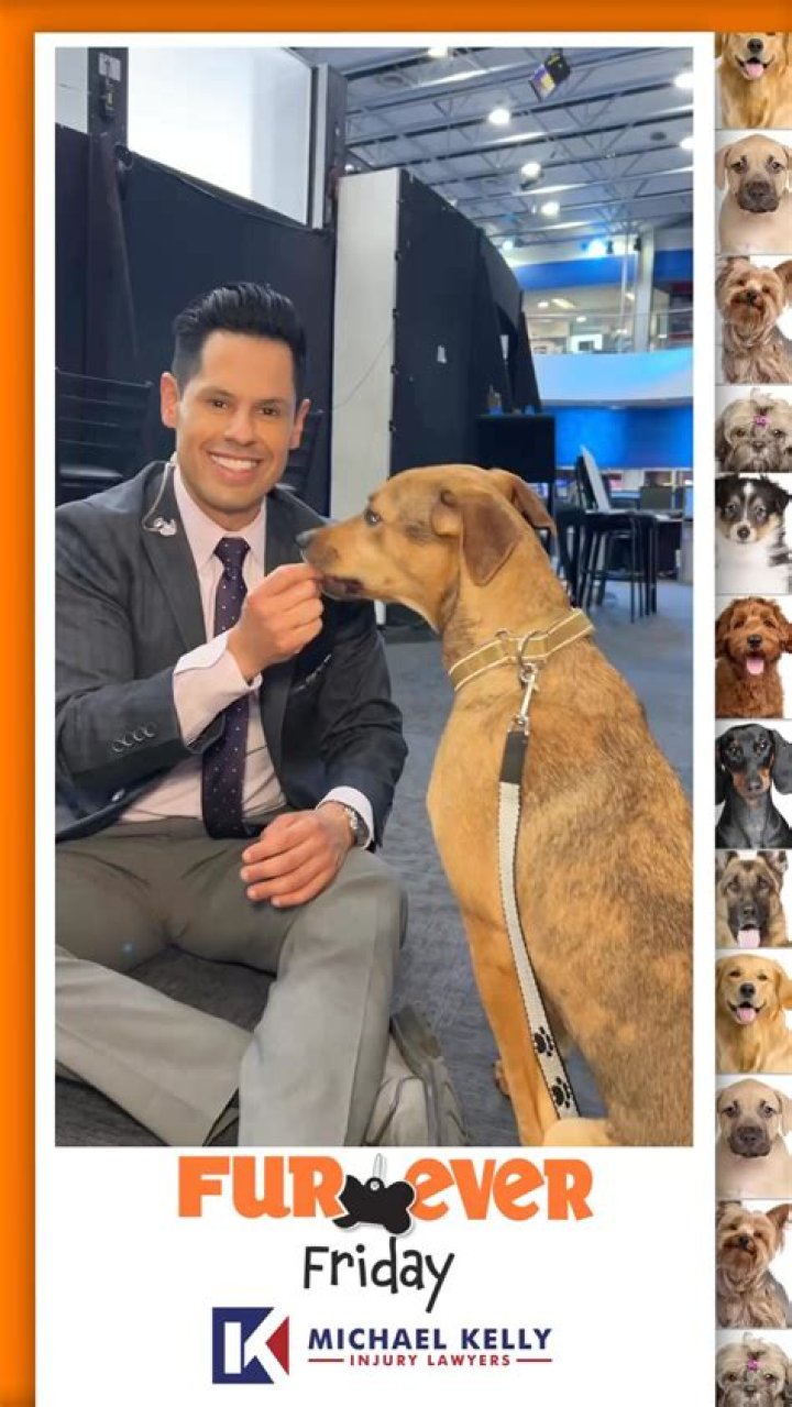 Did R.I.P.D. Do Well? Unpacking the Box Office Bomb and Its Cult Classic Journey