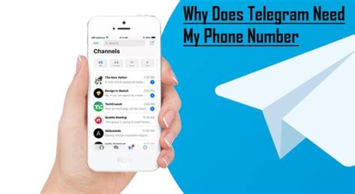 Does Telegram Reveal Your Phone Number? A Look at Your Privacy