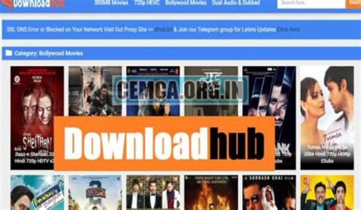DownloadHub 2024: The Ultimate Guide to Downloading Movies, Series, and More