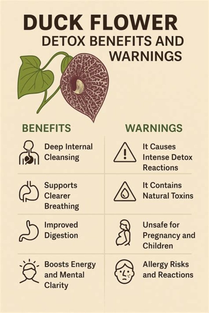 Discovering Duck Flower Benefits: A Natural Path to Feeling Better