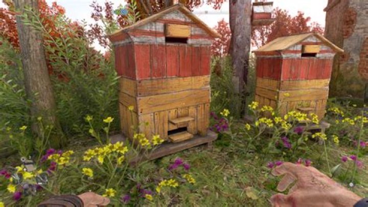 
Dying Light 2: Where to Find Honey