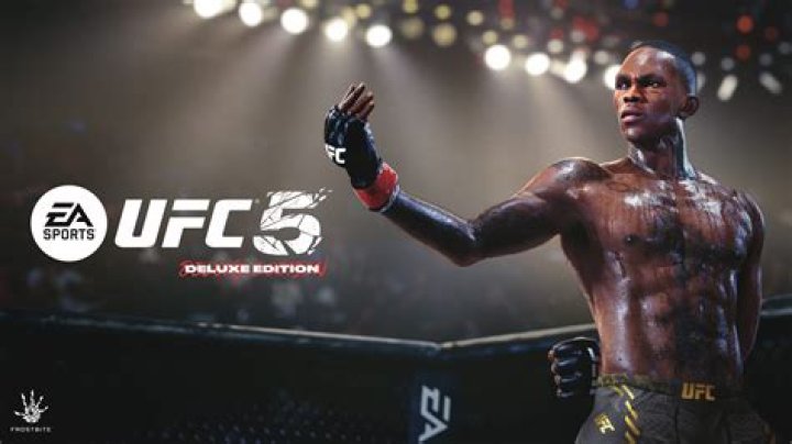
Reason Why EA Sports UFC 2 Roster Does Not Include Brock Lesnar And Other Legends