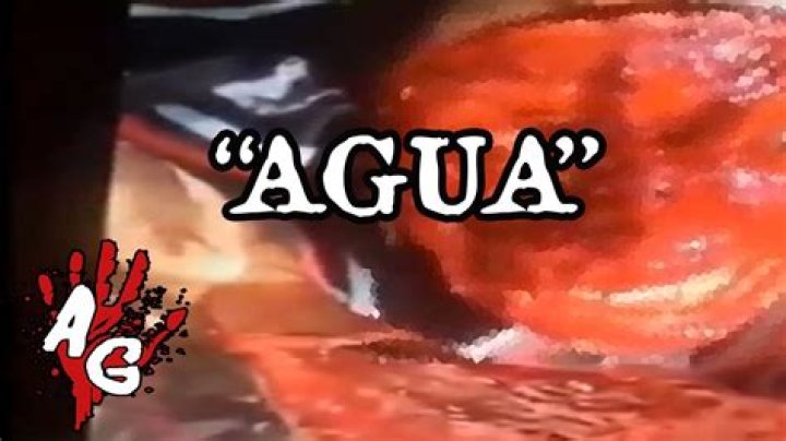 Understanding the "Quiero Agua" Gore Video Phenomenon: A Deep Dive into Its Impact and Meaning