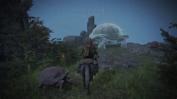 
Elden Ring Chelona’s Rise: Where to Find 3 Great Wise Beasts