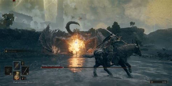 
Elden Ring: What Are Dragon Hearts Used For?