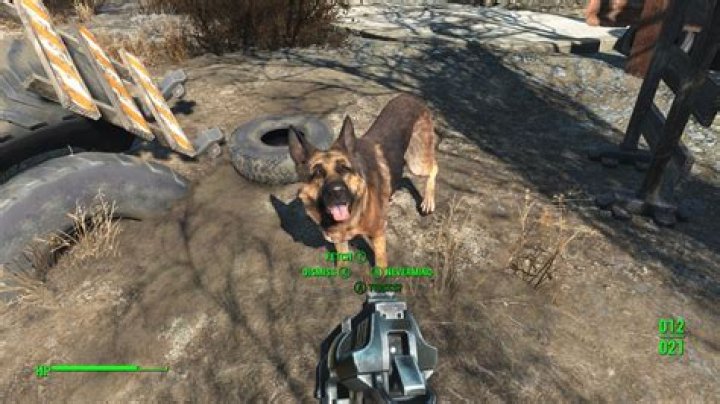
Fallout 4 Guide: How to Put Armor and Gear on Dogmeat or Any Companion