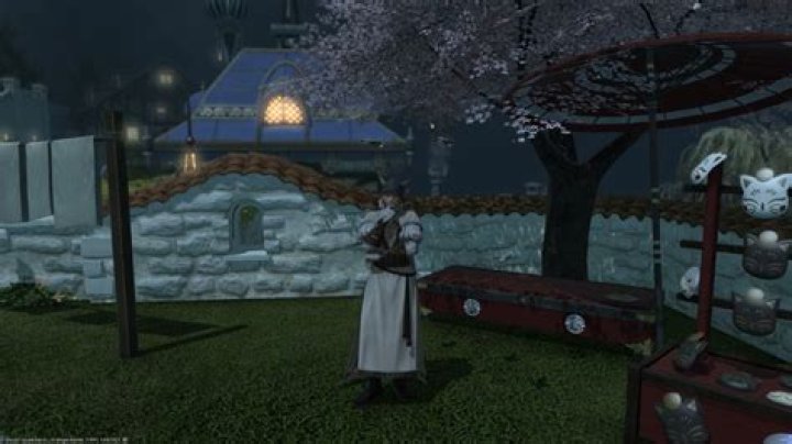 
Fastest Ways to Level Up Sage in FFXIV