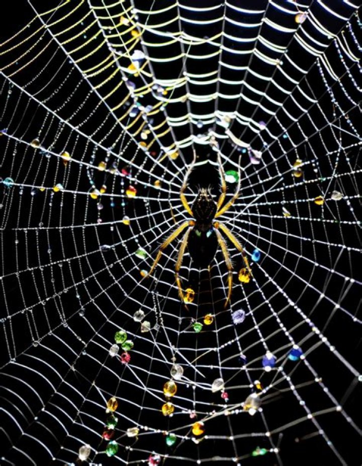 Understanding filfap: A Look at Digital Content's Next Step