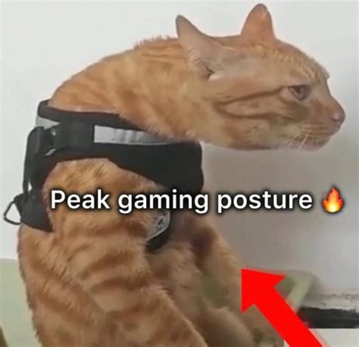 Gamer Posture Meme: A Comprehensive Dive into the Viral Trend