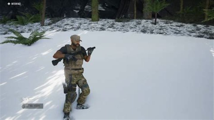 
Ghost Recon Breakpoint: How to Use Silencer