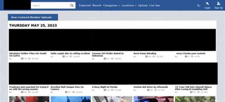 Understanding the Allure of a Gore Site: A Look at Human Curiosity