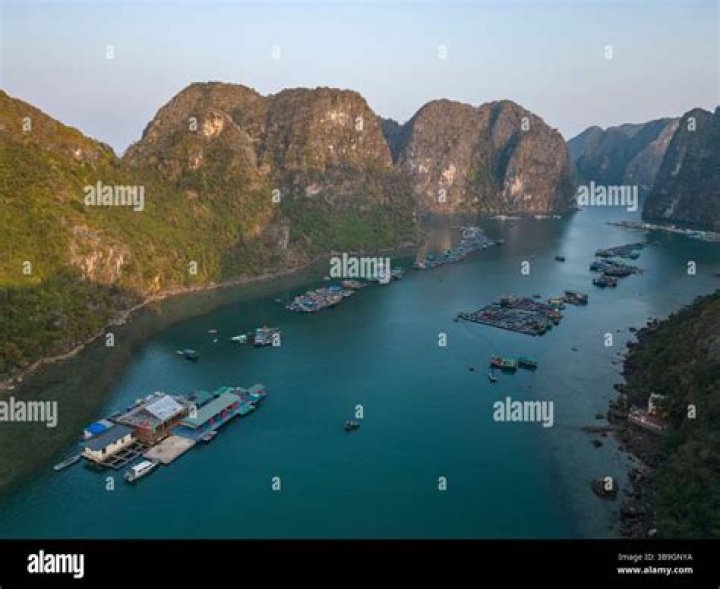 Hạ Tư Ninh: A Rising Star in the World of Entertainment