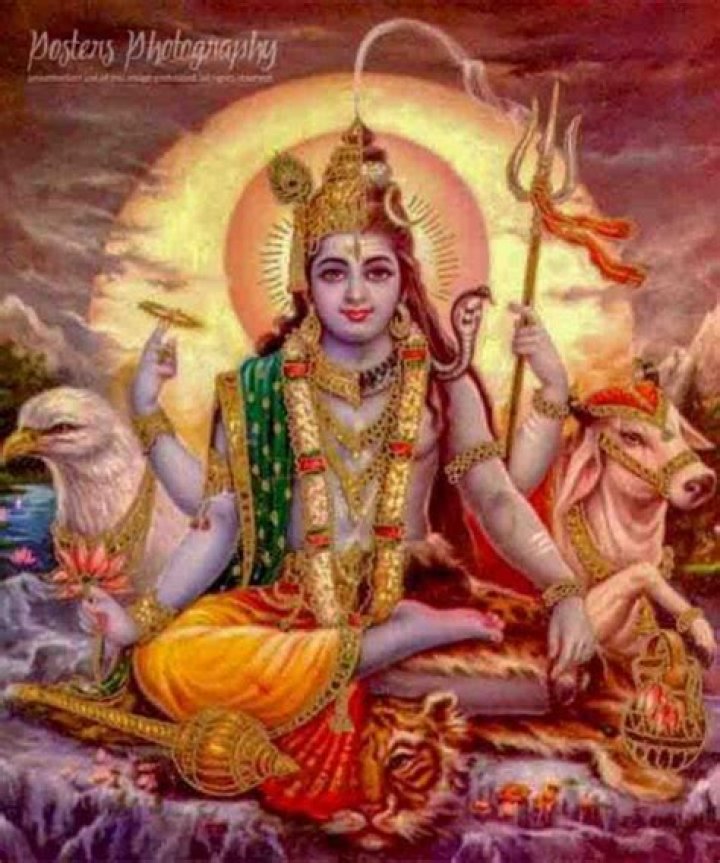 Exploring Hari-Hara Images: The Unified Divine Form