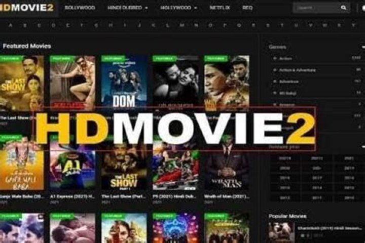 HDMovie2 Link: Your Ultimate Guide to Accessing Free Movies