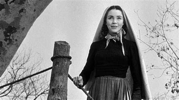 Understanding the Tragic Death of Mary Jennifer Selznick: Insights and Analysis