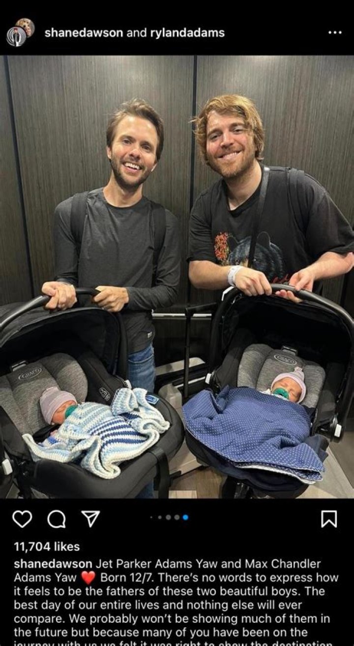 How Does Shane Dawson Have Babies? The Joyful Arrival of His Twin Sons