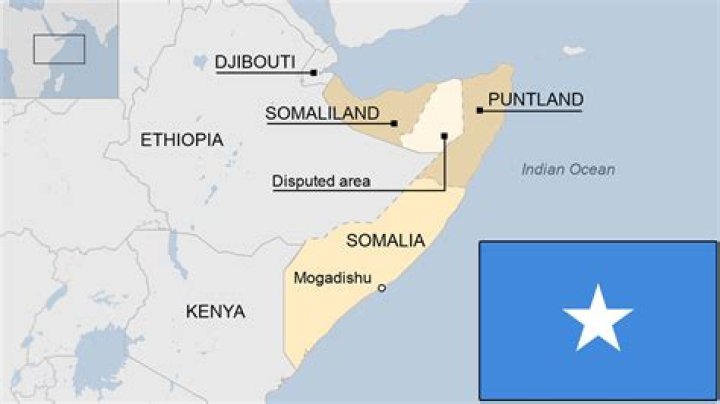 How Many Somalis Live in the USA? Understanding the Nuance of "Many"