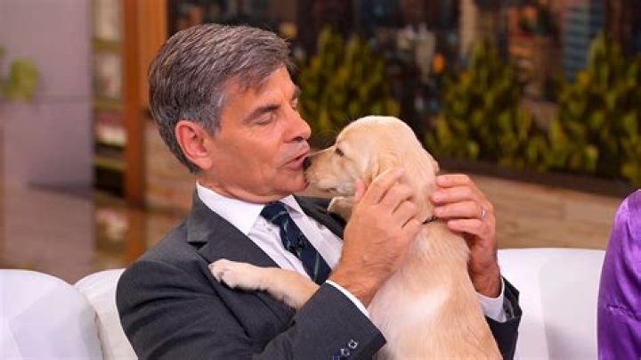 How Much is George Stephanopoulos' Salary? Unpacking a News Icon's Earnings