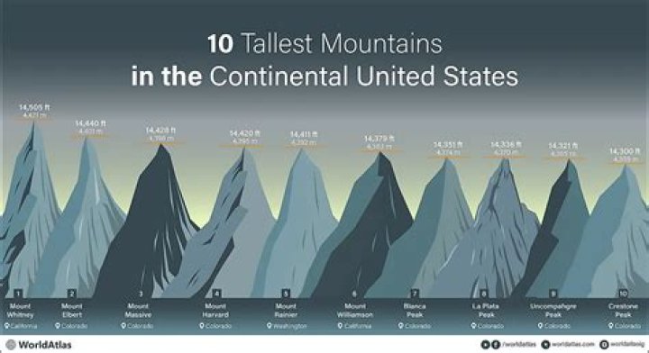 How Tall Is The Mountain GF? Discovering Kelsey Henson's Height