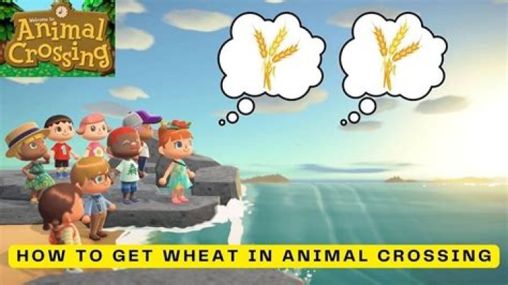
How to Get Wheat in Animal Crossing: New Horizons