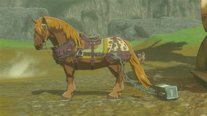 How to Use the Towing Harness in Zelda Tears of the Kingdom