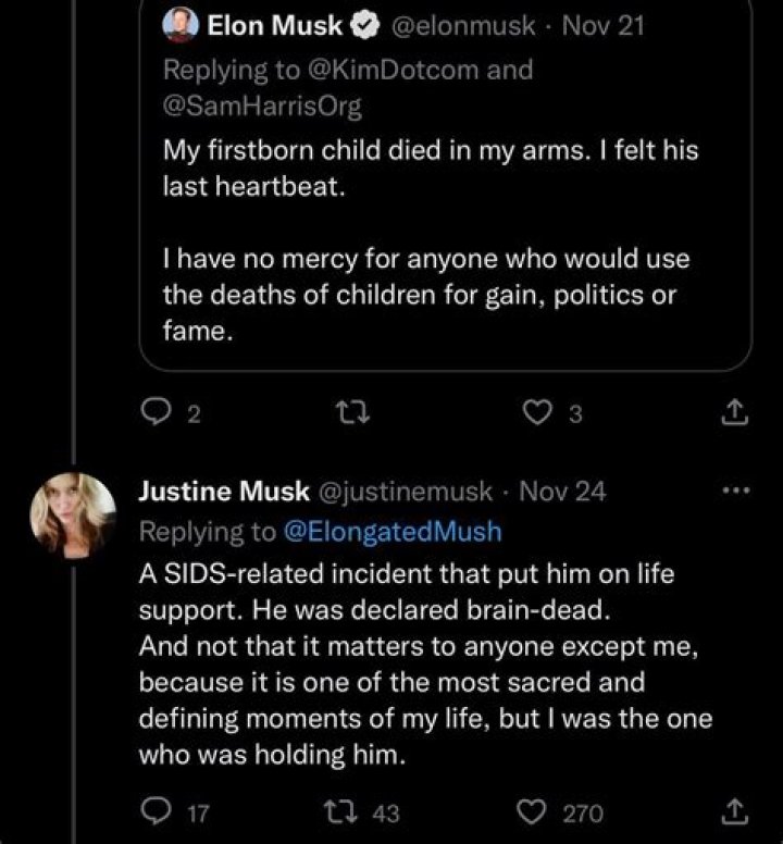 Is Elon Musk a Socialist? Unpacking a Billionaire's Curious Political Stance