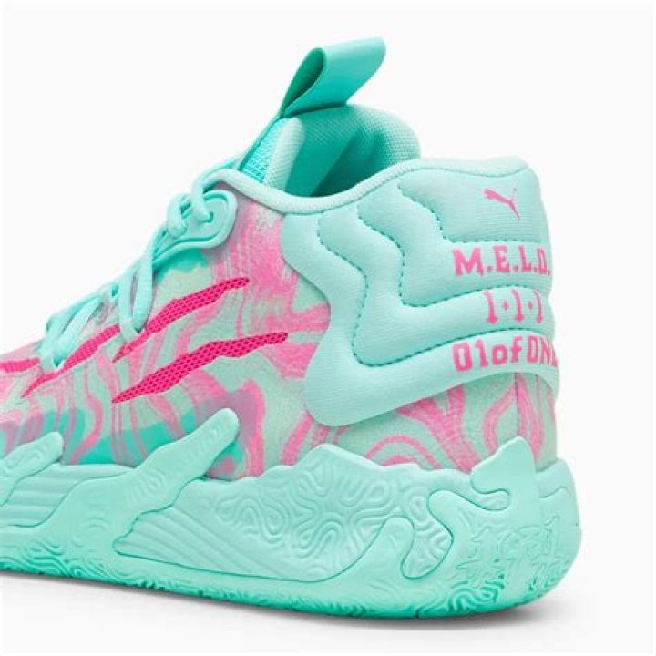 Is LaMelo Ball's Mom Okay? Unpacking Public Interest in the Ball Family