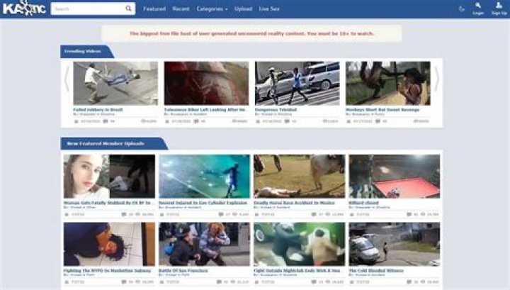 Kaotic.com: Exploring the Ultimate Destination for Creative Chaos