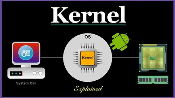 Unveiling the Mystery: Korn Kernal's Real Name and Her Digital Presence