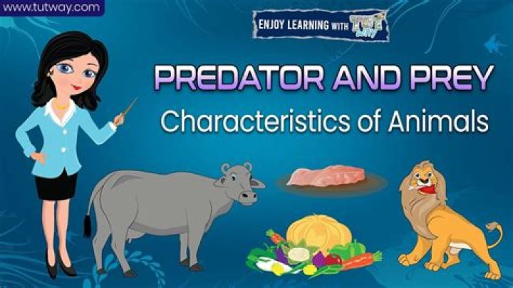 
Learn About Prey’s Enemy Aliens, the Typhon, in New Video