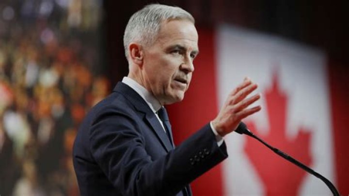 Mark Carney Net Worth: Unpacking the Financial Journey of a Global Leader